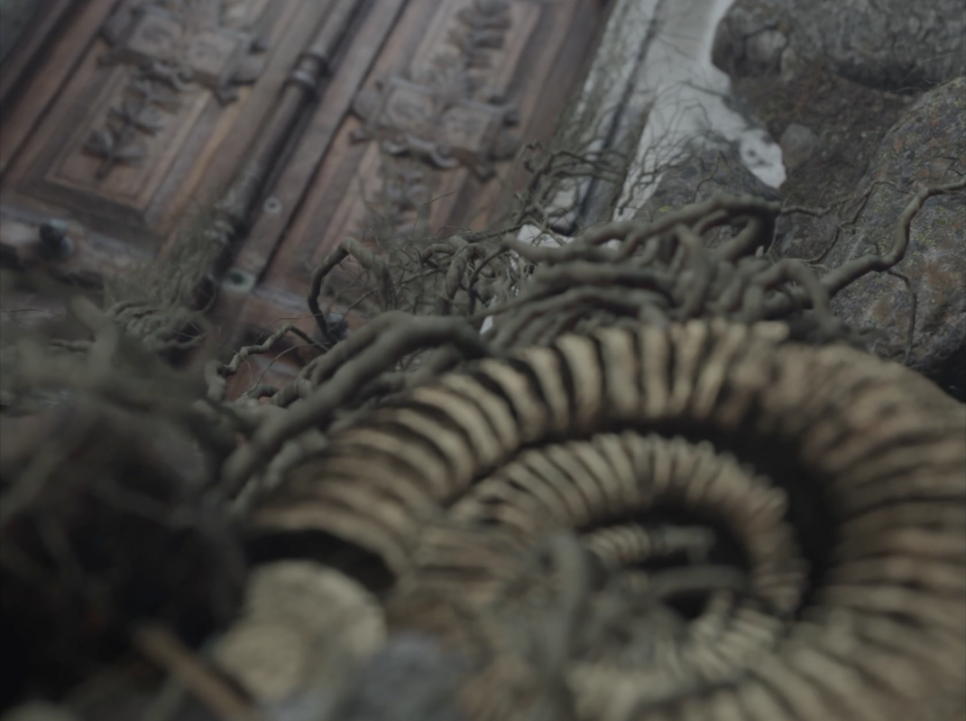 Grafted-Memory-System (extract I) by Ugo Schiavi