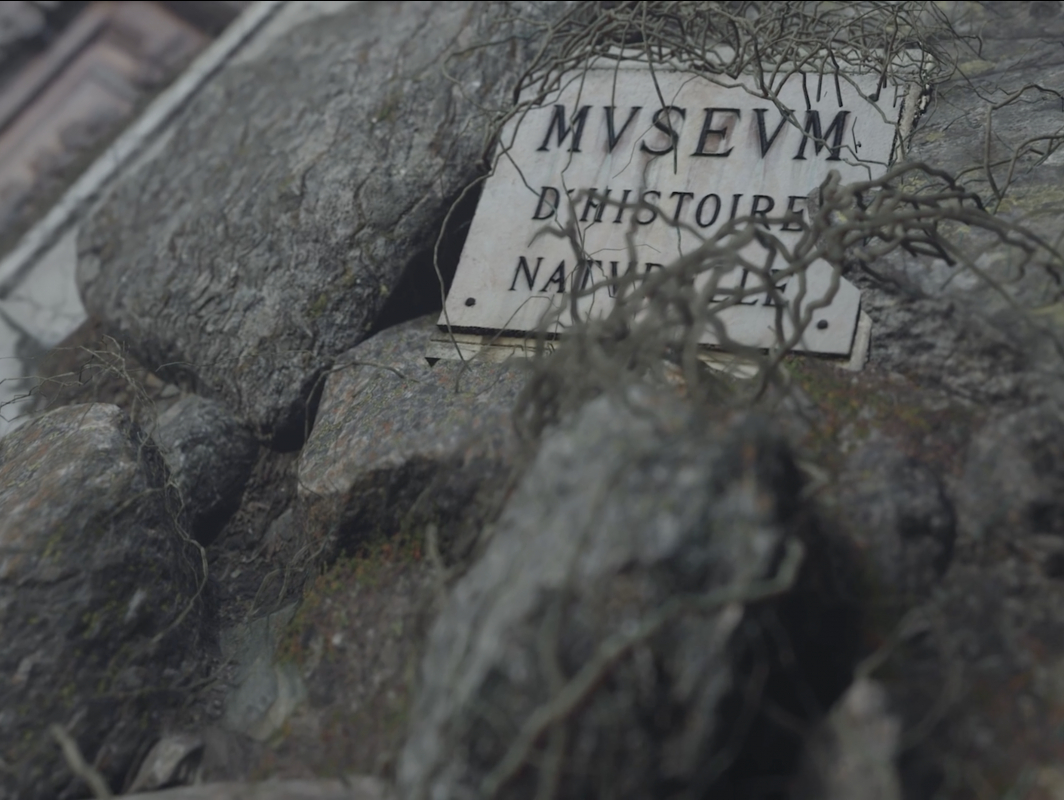 Grafted-Memory-System (extract I) by Ugo Schiavi