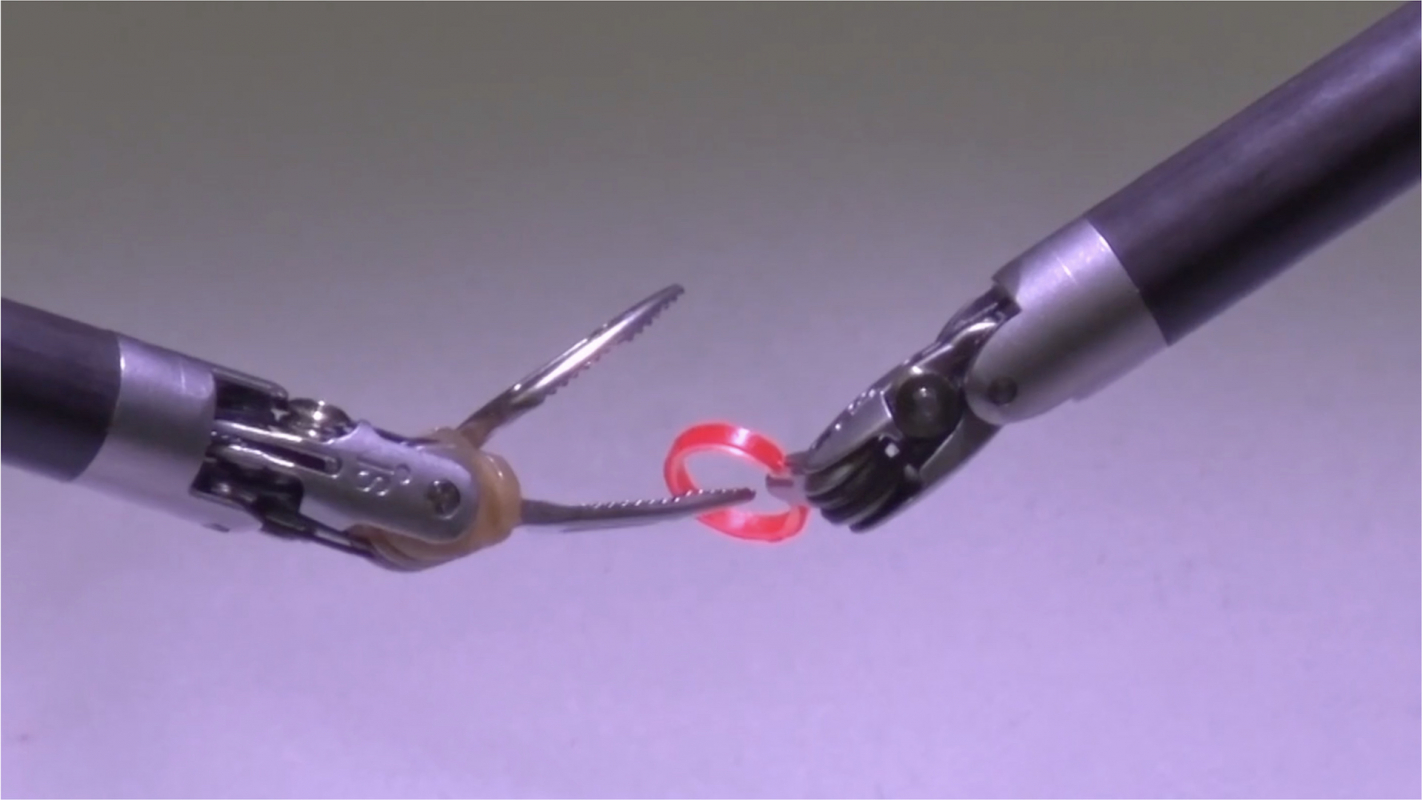 One Thousand and One Attempts to Be an Ocean by Yuyan Wang