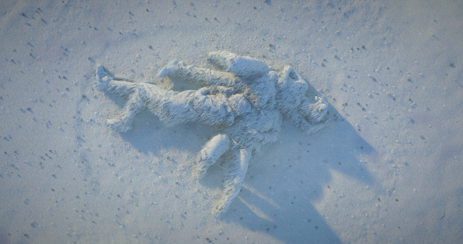 The Edge of Eternity by Céleste Rogosin