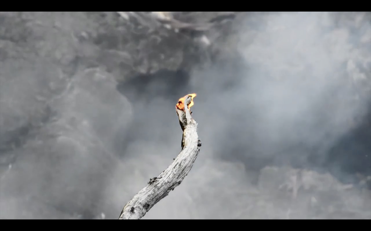 Thug Roi, Extraordinary Rendezvous with My Brother by Pierre Gaignard